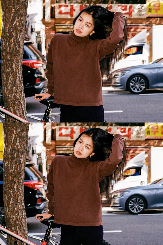 1411GD - Aspen Turtleneck
