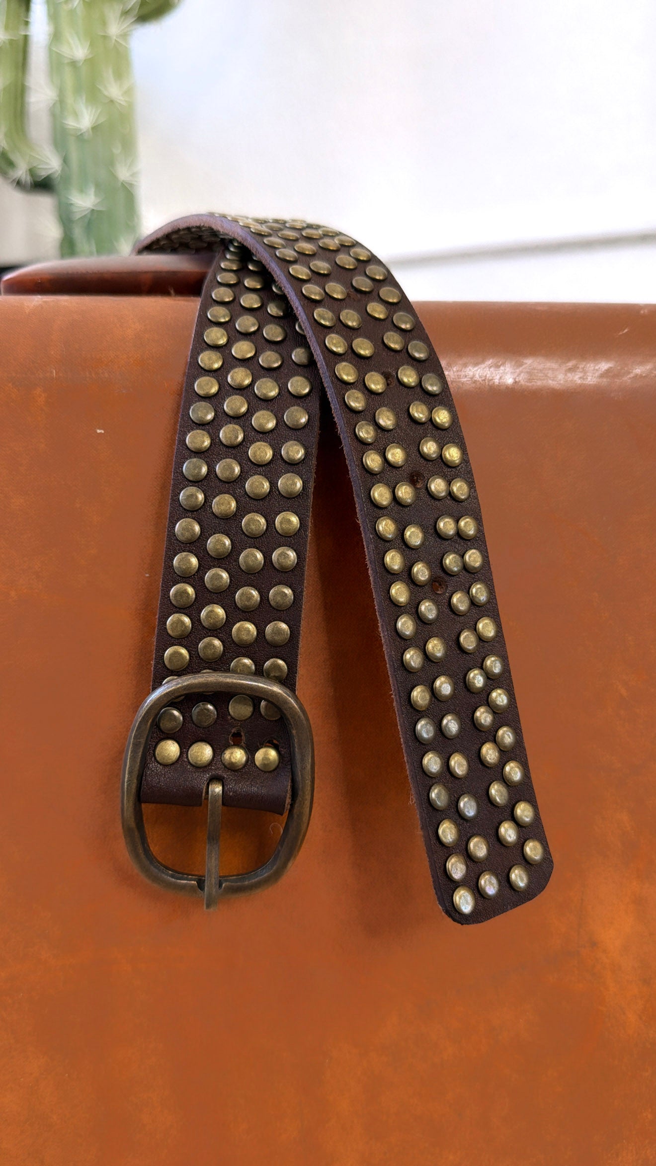 Studded Leather Belt, DK. Brown