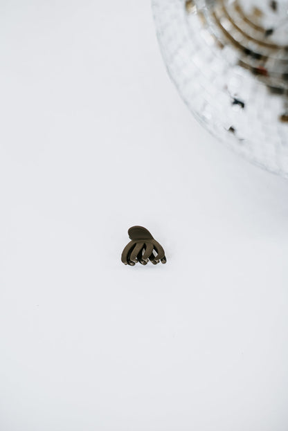 Tiny Claw Clip