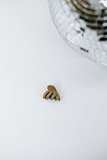 Tiny Claw Clip